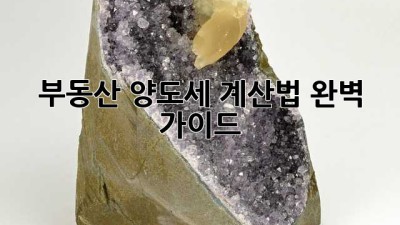 부동산 양도세 계산법 완벽 가이드