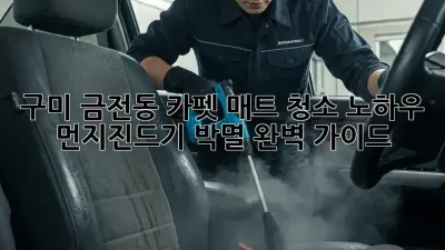 구미 금전동 카펫, 매트 청소 노하우: 먼지진드기 박멸 완벽 가이드